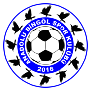 Anadolu Bingölspor Logo PNG Vector