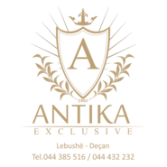 antika Logo PNG Vector