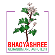 Bhagyashree Geranium Logo PNG Vector