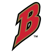 Buffalo Bisons Logo PNG Vector