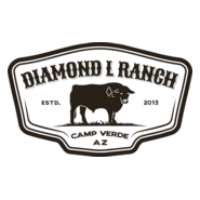 Diamond L Ranch Logo PNG Vector