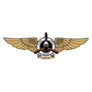 Flying Eagle Aviation Logo PNG Vector