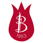 İstanbul Bankası Logo PNG Vector