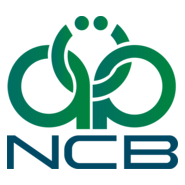 National Commercial Bank (Libya) Logo PNG Vector