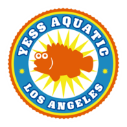 Yess Aquatic Logo PNG Vector