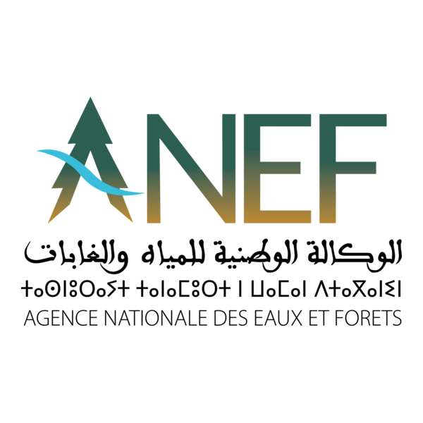 AGENCE NATIONALE DES EAUX ET FORETS Logo PNG Vector