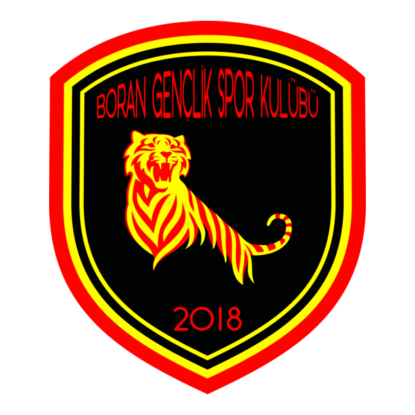 Boran Gençlikspor Logo PNG Vector