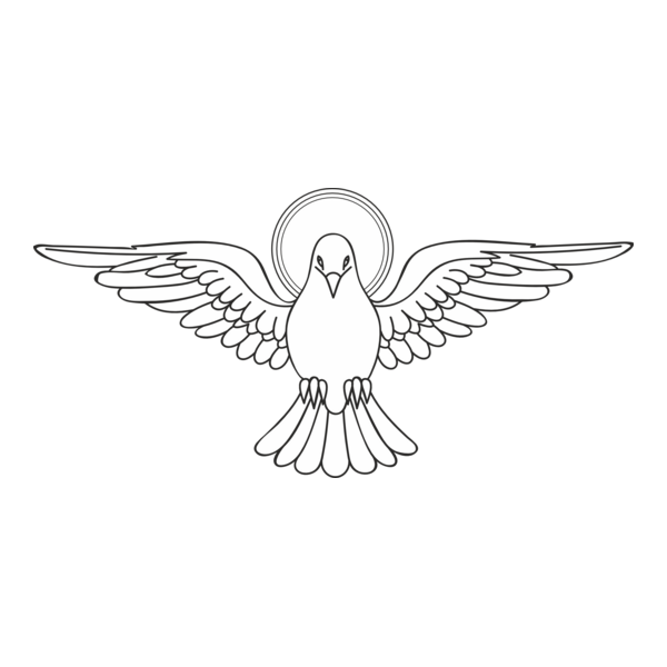 holy spirit dove / espírito santo pomba Logo PNG Vector