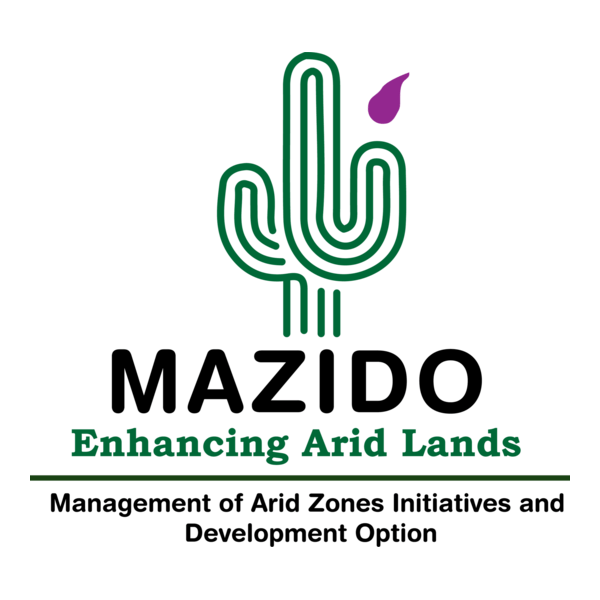 MAZIDO Logo PNG Vector
