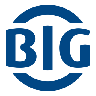 BIG Direkt Logo PNG Vector