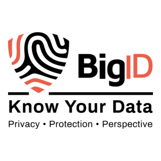BigID Logo PNG Vector
