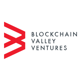 Blockchain Valley Ventures Logo PNG Vector