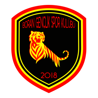 Boran Gençlikspor Logo PNG Vector