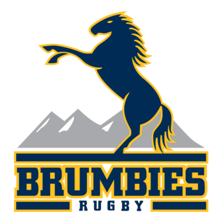 Brumbies Rugby Logo PNG Vector