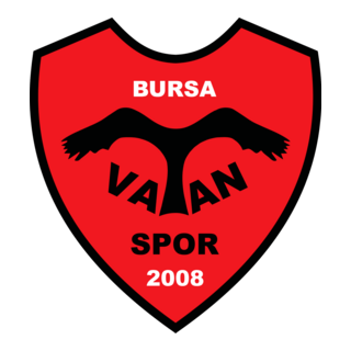 Bursa Vatanspor Logo PNG Vector