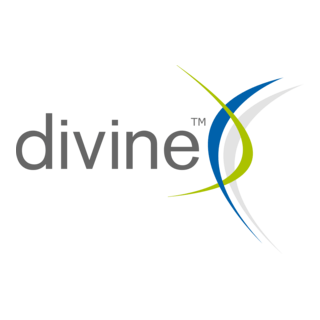 Divine, Inc. Logo PNG Vector
