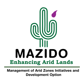 MAZIDO Logo PNG Vector