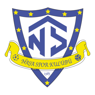 Naşaspor Logo PNG Vector