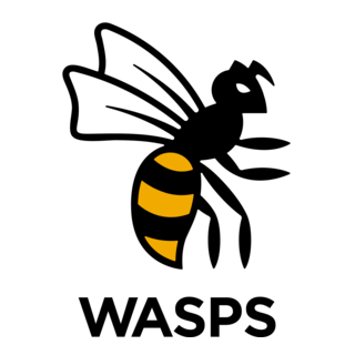 Wasps FC Logo PNG Vector