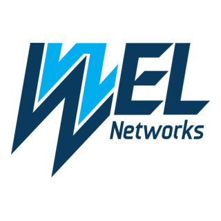 WEL Networks Logo PNG Vector