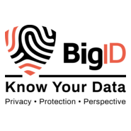 BigID Logo PNG Vector