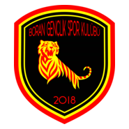 Boran Gençlikspor Logo PNG Vector