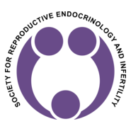 SREI Logo PNG Vector