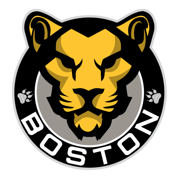 Boston Pride Logo PNG Vector
