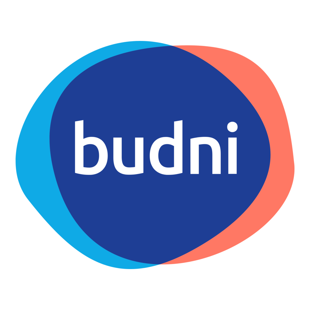 Budnikowsky Logo PNG Vector