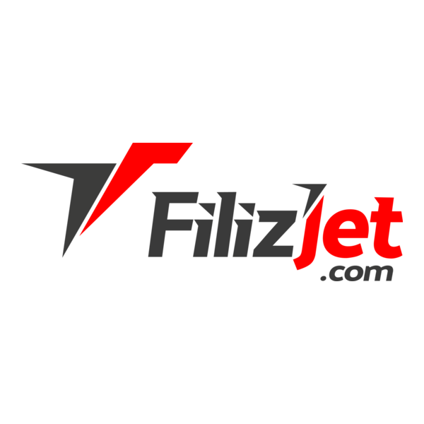 Filizjet Logo PNG Vector