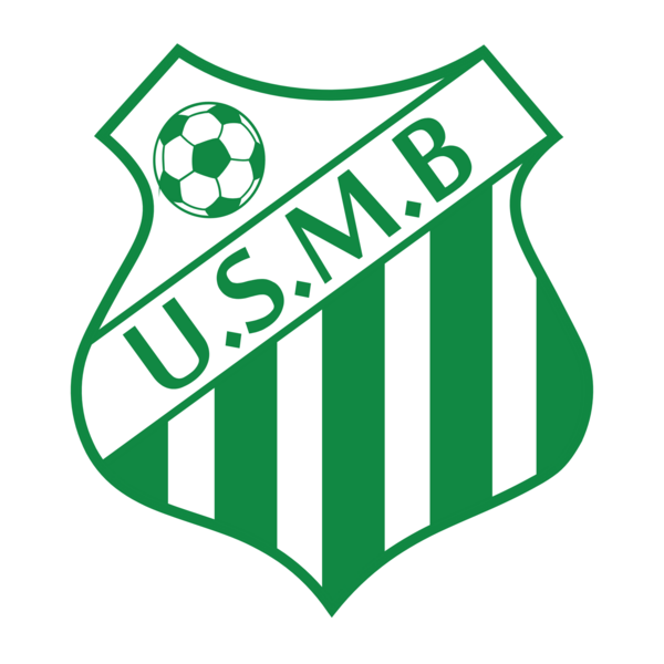 Palestra de São Bernardo Logo PNG Vector