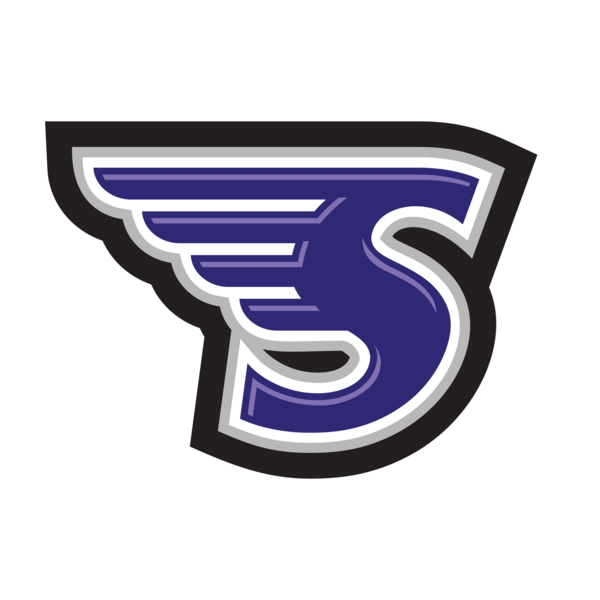 Stonehill Skyhawks Logo PNG Vector