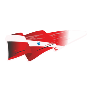 Bandeira do Pará Logo PNG Vector