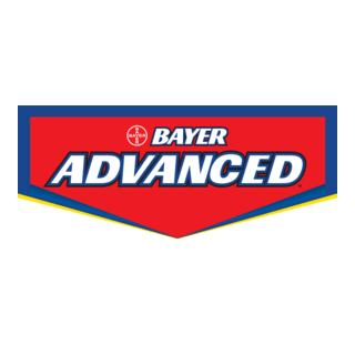 Bayer Advanced Logo PNG Vector