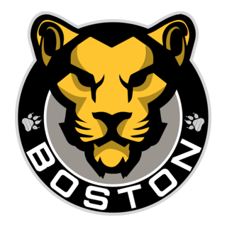 Boston Pride Logo PNG Vector