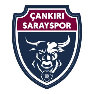 Çankırı Sarayspor Logo PNG Vector