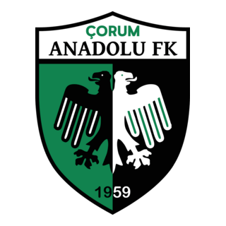 Çorum Anadolu FK Logo PNG Vector