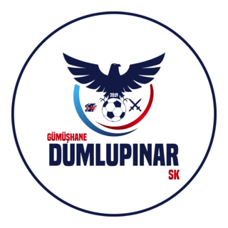 Gümüşhane Dumlupınarspor Logo PNG Vector