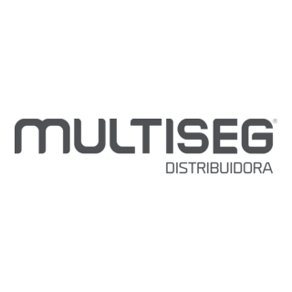 multiseg Logo PNG Vector