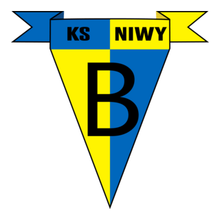 Niwy Brudzowice Logo PNG Vector
