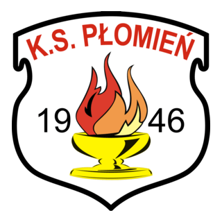 Płomień Przyprostynia Logo PNG Vector