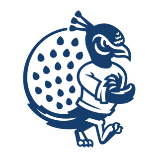 Saint Peter’s Peacocks Logo PNG Vector