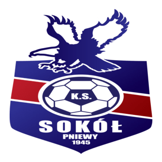 Sokół Pniewy Logo PNG Vector