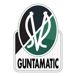 SV Guntamatic Logo PNG Vector