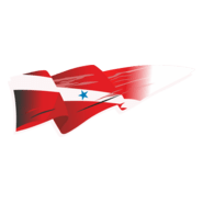 Bandeira do Pará Logo PNG Vector