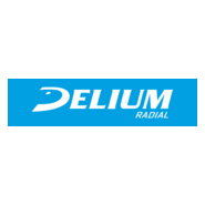 DELIUM Logo PNG Vector
