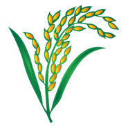 Dhaner Shis Logo PNG Vector