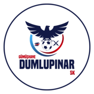 Gümüşhane Dumlupınarspor Logo PNG Vector