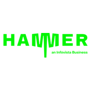 Hammer Logo PNG Vector