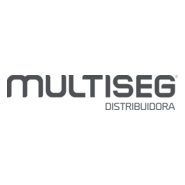 multiseg Logo PNG Vector